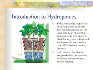 Introduction to Hydroponics Today I am going to