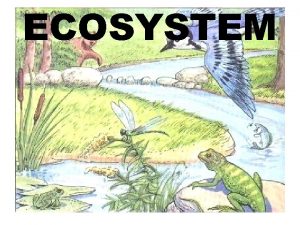ECOSYSTEM ecology The branch of biology that deals
