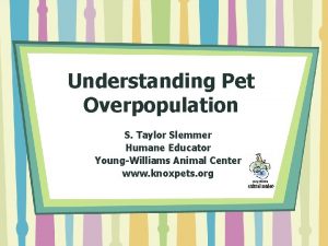 Understanding Pet Overpopulation S Taylor Slemmer Humane Educator