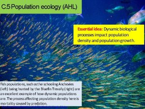 C 5 Population ecology AHL Essential idea Dynamic