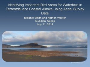 Identifying Important Bird Areas for Waterfowl in Terrestrial