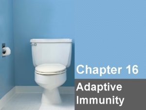 Chapter 16 Adaptive Immunity Overview of Adaptive Immunity