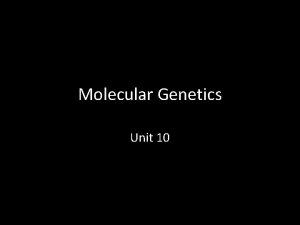 Molecular Genetics Unit 10 Chapter 16 THE MOLECULAR