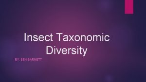 Insect Taxonomic Diversity BY BEN BARNETT Ephemeroptera Coleoptera