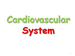 Cardiovascular System 1 General The cardiovascular system is