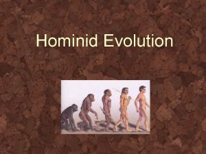 Hominid Evolution Skull comparison Where did they live