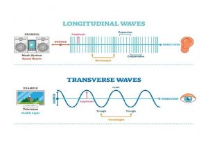 Transverse and Longitudinal Waves Compare properties of longitudinal