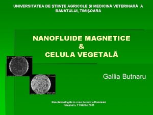 UNIVERSITATEA DE TIINE AGRICOLE I MEDICIN VETERINAR A