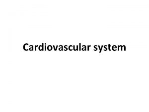 Cardiovascular system HEART The heart has four chambers