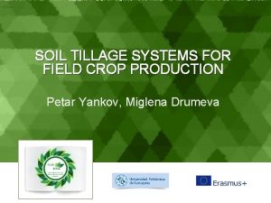 Showeet com SOIL TILLAGE SYSTEMS FOR FIELD CROP