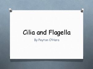 Cilia and Flagella By Peyton OHara Cilia Flagella