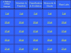 A Plethora of Plant Potpourri Structure Classification Monocots