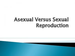 Asexual Versus Sexual Reproduction Somatic Cells body cells