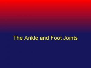 The Ankle and Foot Joints The Ankle and
