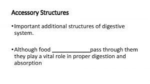Accessory Structures Important additional structures of digestive system