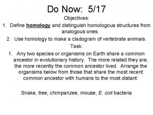 Do Now 517 Objectives 1 Define homology and