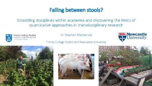 Falling between stools Straddling disciplines within academia and