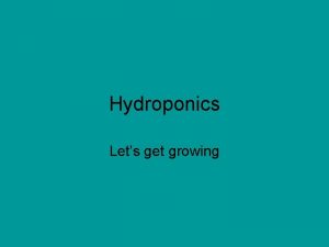 Hydroponics Lets get growing Hydroponics Growing plants without