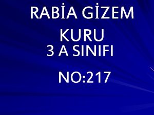 RABA GZEM KURU 3 A SINIFI NO 217