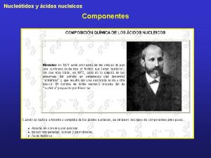 Nucletidos y cidos nucleicos Componentes Nucletidos y cidos