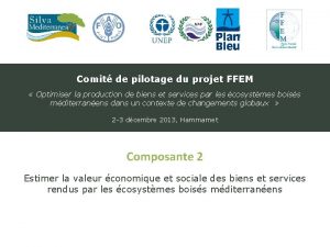 Comit de pilotage du projet FFEM Optimiser la