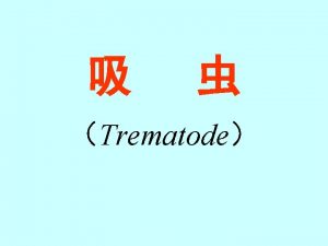 Trematode INTRODUCTION OF TREMATODES INTRODUCTION OF TREMATODES q