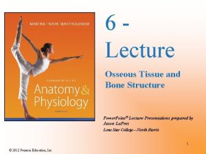 6 Lecture Osseous Tissue and Bone Structure Power
