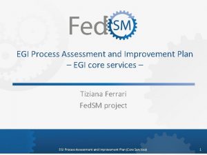 EGI Process Assessment and Improvement Plan EGI core