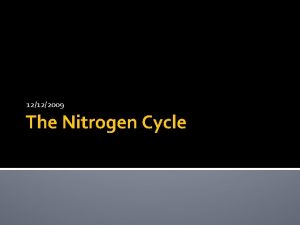 12122009 The Nitrogen Cycle Catalyst Is gasoline made
