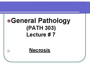 l General Pathology PATH 303 Lecture 7 q