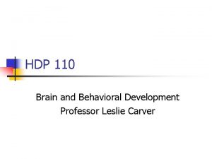 HDP 110 Brain and Behavioral Development Professor Leslie