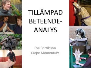 TILLMPAD BETEENDEANALYS Eva Bertilsson Carpe Momentum Experimentell beteendeanalys