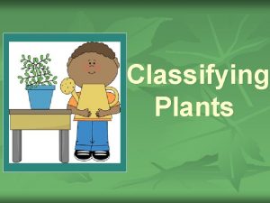 Classifying Plants What does classifying mean Classifying means