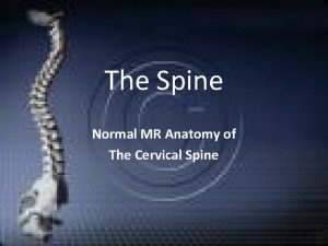 The Spine Normal MR Anatomy of The Cervical