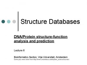 Structure Databases DNAProtein structurefunction analysis and prediction Lecture