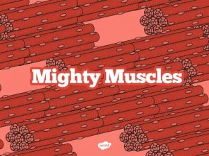 I know why we need muscles to move