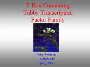 FBox Containing Tubby Transcription Factor Family Daisy Robinton