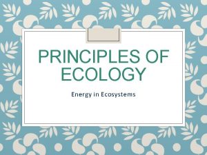 PRINCIPLES OF ECOLOGY Energy in Ecosystems Ecologythe interactions