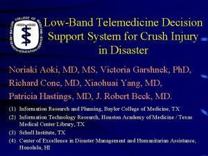 LowBand Telemedicine Decision Support System for Crush Injury