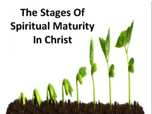 The Stages Of Spiritual Maturity In Christ Maturity