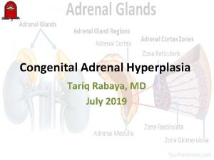 Congenital Adrenal Hyperplasia Tariq Rabaya MD July 2019