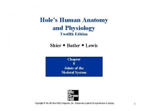 Holes Human Anatomy and Physiology Twelfth Edition Shier