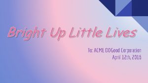 Bright Up Little Lives To ACME DOGood Corporation