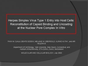 Herpes Simplex Virus Type 1 Entry into Host