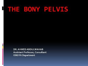 THE BONY PELVIS DR AHMED ABDULWAHAB Assistant Professor