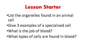 Lesson Starter List the organelles found in an