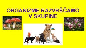 ORGANIZME RAZVRAMO V SKUPINE Vsebino peresnice stresi na