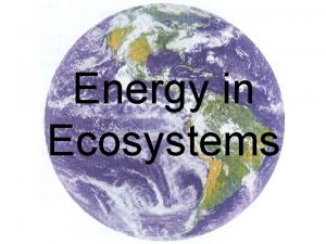 Energy in Ecosystems Energy in Ecosystems Producer autotroph