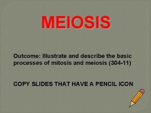 MEIOSIS Outcome Illustrate and describe the basic processes