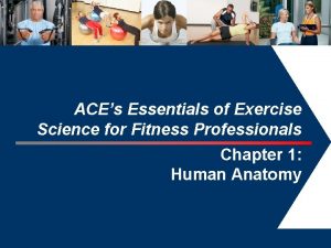 ACEs Essentials of Exercise Science for Fitness Professionals